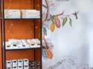 Transat Café L'OR - Le chocolat de la Martinique, en partenariat avec le comité du tourisme de la Martinique
