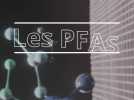 5 choses à savoir sur les PFAS, ou polluants éternels