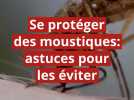 Se protéger des moustiques : les astuces pour les éviter