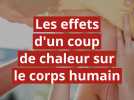 Les effets des coups de chaleur sur le corps
