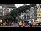 Le grand sapin du marché de Noël de Strasbourg est installé place Kléber