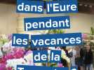 On fait quoi dans l'Eure pendant les vacances de la Toussaint ?