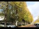 VIDÉO. Dans la région de Coutances, cinq lieux pour découvrir la magie de l'automne