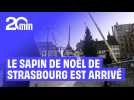 Le grand sapin de Noël de Strasbourg est arrivé
