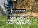 Dans sa ferme en faisant des travaux, il découvre une nouvelle espèce préhistorique