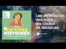 À la découverte des coraux de Nausicaá
