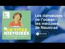 À la découverte des méduses de Nausicaá