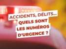 Faits divers - Une jeune femme retrouvée morte à Lille, le procureur appelle à cesser la diffusion d'images de vidéosurveillance