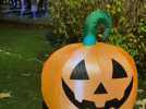 Une soirée d'Halloween terrifiante à Crespin