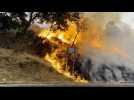 De nombreux pays d'Europe en proie à d'impressionnants incendies