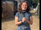VIDÉO. Troisième jour du Motocultor Festival : les coups de coeur de la rédaction
