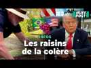Lula apostrophe Trump sur les droits de douane, à genoux en train de planter de la vigne