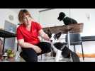 Lingolsheim : se former au secourisme animalier