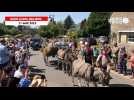 VIDÉO. Dans le Calvados, tracteurs, véhicules et costumes du début du XXe siècle font leur défilé