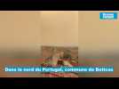 Incendies Portugal Boticas
