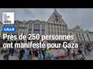 Près de 250 personnes ont encore manifesté pour la paix à Gaza à Lille