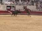 Feria de Béziers : la corrida de rejon a débuté aux arènes de Béziers ce samedi 16 août
