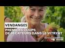 Premiers coups de sécateurs à Vitry le François