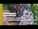 Les bancs en Champagne, qu'est ce que c'est ?