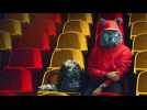 ChiefsAholic: A Wolf in Chiefs Clothing