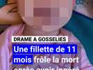 Une fillette de 11 mois frôle la mort après avoir ingéré de la méthadone et de la cocaïne à Gosselies