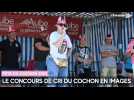 Le concours de cri du cochon organisé lors de la Fête du cochon 2025 en images