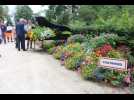 VIDÉO. On vous fait découvrir la décoration estivale du jardin des plantes de Coutances