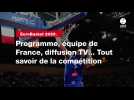 VIDÉO. EuroBasket 2025. Programme, équipe de France, diffusion TV... Tout savoir de la compétition