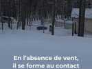 Météo - 