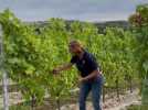 On a testé la visite guidée des vignes Terre de Grès à Fresnicourt-le-Dolmen