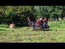 Le Quesnoy : le 38e concours international d'attelage revient les 6 et 7 septembre