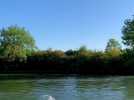 Deux fois plus de participants à l'Artésienne, course de nage en eau libre à Guarbecque