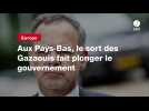 VIDEO. Aux Pays-Bas, le sort des Gazaouis fait plonger le gouvernement