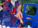 Agriculture - 