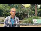 VIDÉO. Ce parc zoologique Normand est vieux de plus de 100 ans