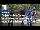 Dannes : de jeunes bénévoles internationaux entretiennent le mont Saint-Frieux durant l'été