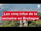 VIDÉO. Meurtre, Gaza, crash d'hélicoptère... Les cinq infos de la semaine en Bretagne
