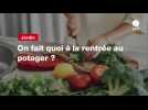 VIDEO. On fait quoi à la rentrée au potager ?