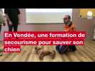 VIDEO. En Vendée, une formation de secourisme pour sauver son chien