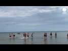 VIDÉO. Une quarantaine de personnes se mouillent pour « Tous à l'eau avec ou sans lolo », à Plérin