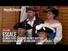 ESCALE | Plongez dans l'Histoire Vivante avec les Chevaliers du Comté de Boulogne