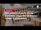 VIDEO. Ces milliers d'oeufs venus d'Ukraine importés en France créent la polémique