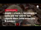 VIDEO. Jugés « cruels », les pièges à colle ont été retirés des rayons dans cette enseigne E.Leclerc