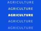 AGRICULTURE - Jingle Weo