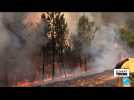 Incendies en Espagne : une année noire pour le pays