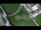 Un pétrolier a perdu 10.000 litres de mazout dans le canal Albert à Olen