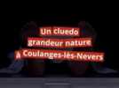 Enquête - 