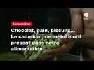 VIDEO. Chocolat, pain, biscuits... Le cadmium, ce métal lourd présent dans notre alimentation