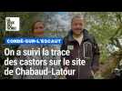Les castors sont de retour sur le site de Chabaud-Latour