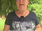Moustiques - 
